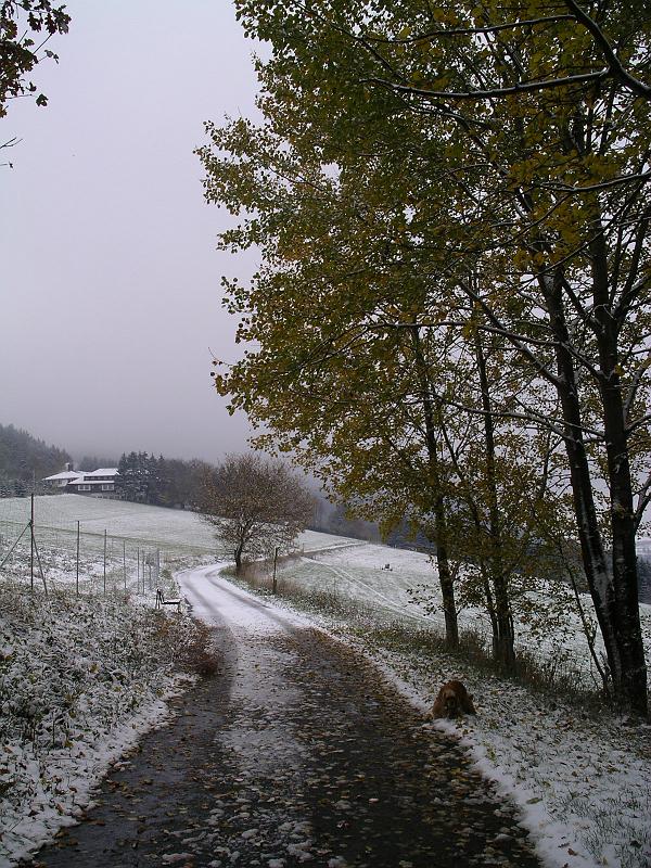Winter 107.jpg